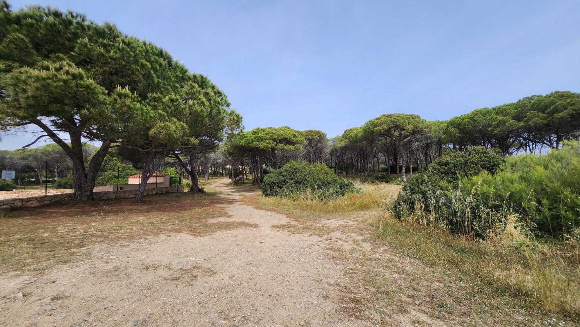 Le Pavoncelle Villa Budoni Exterior photo